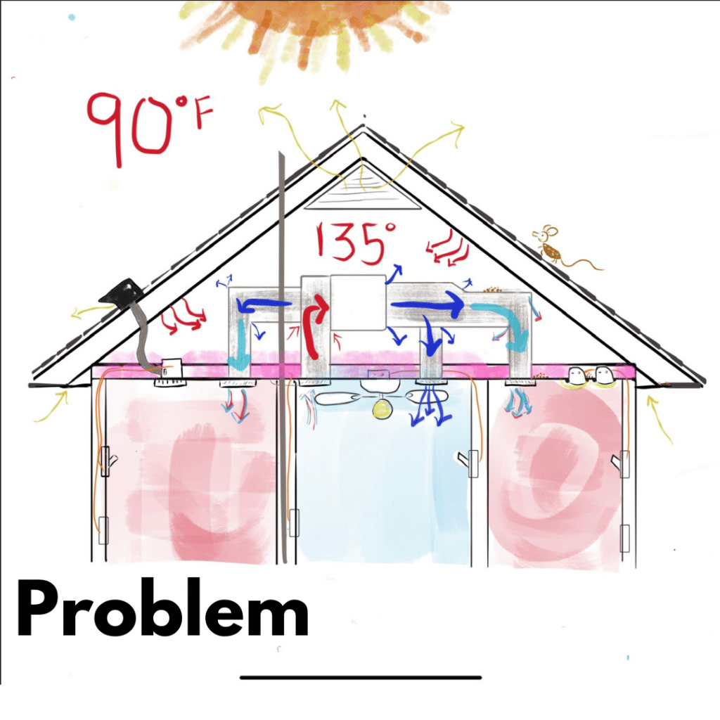 Before 2 Problem - Austin Attic Insulation
