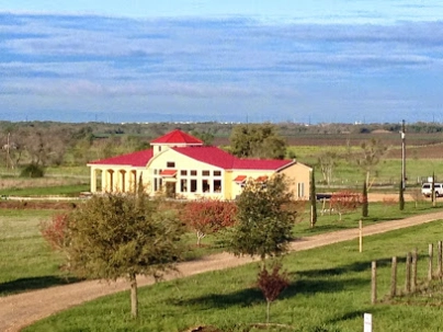 blue lotus winery