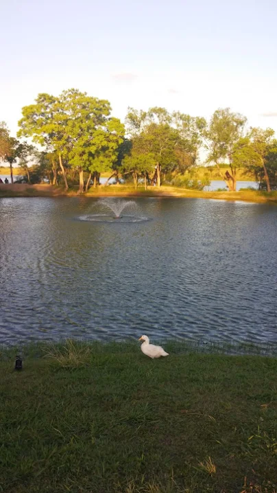 live oak city park