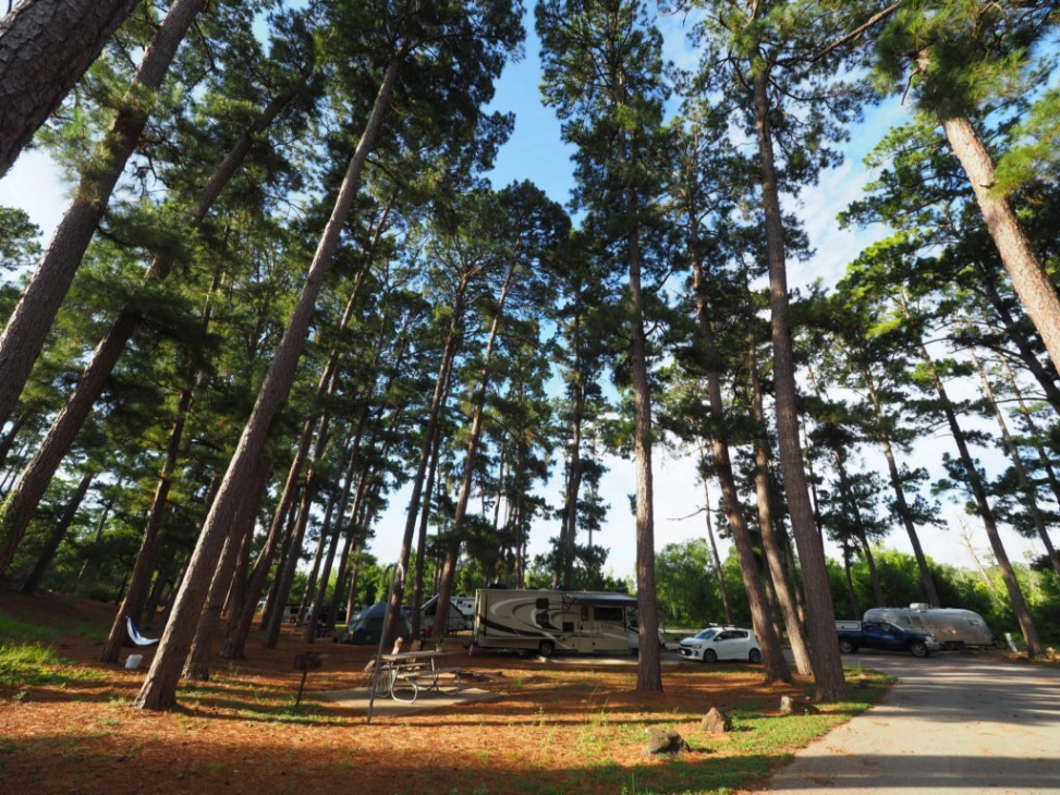 bastrop state park