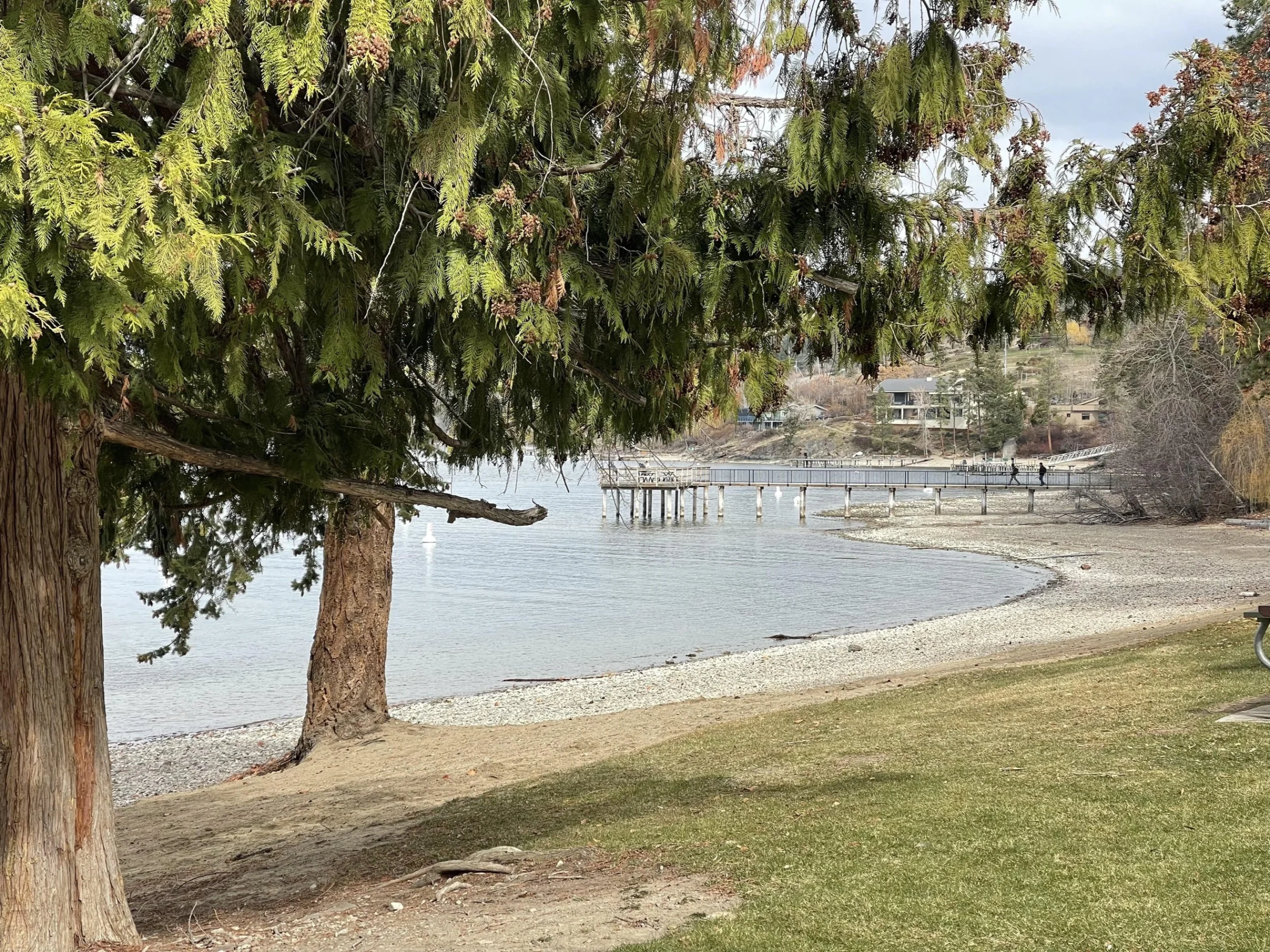 bertram community park