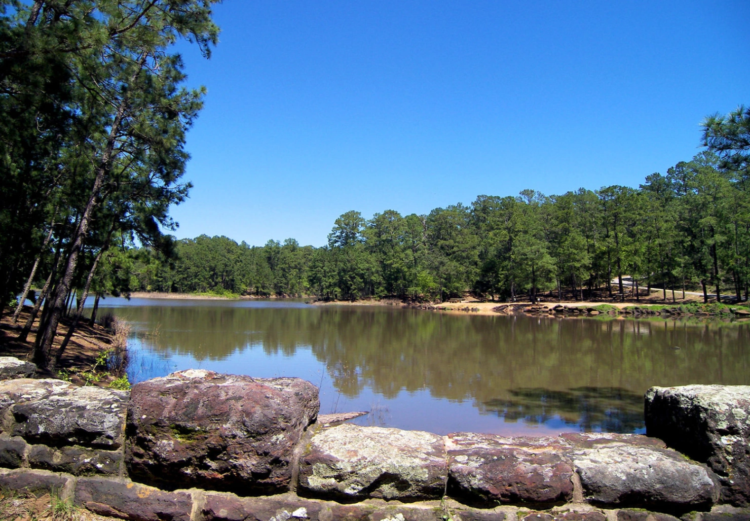 lake bastrop