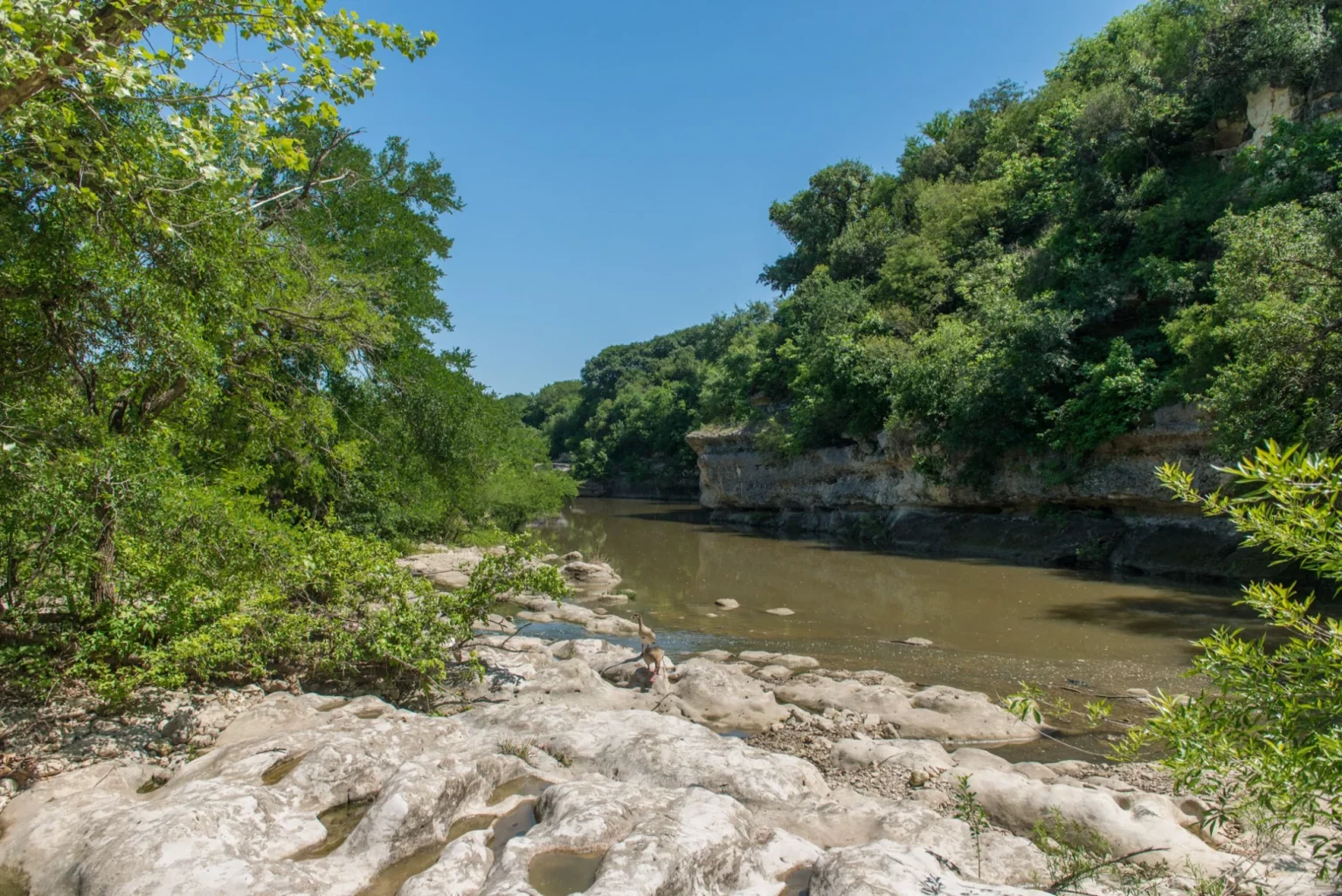 cibolo, tx