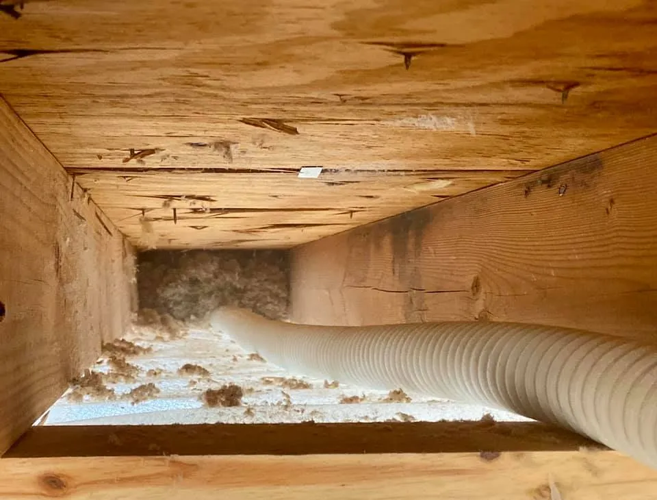 Removing Insulation A Key Step in Preventing Structural Damage removing insulation a key step in preventing structural damage
