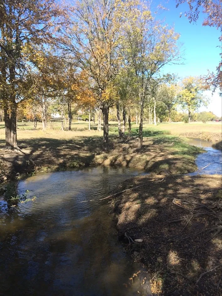 steeplechase park
