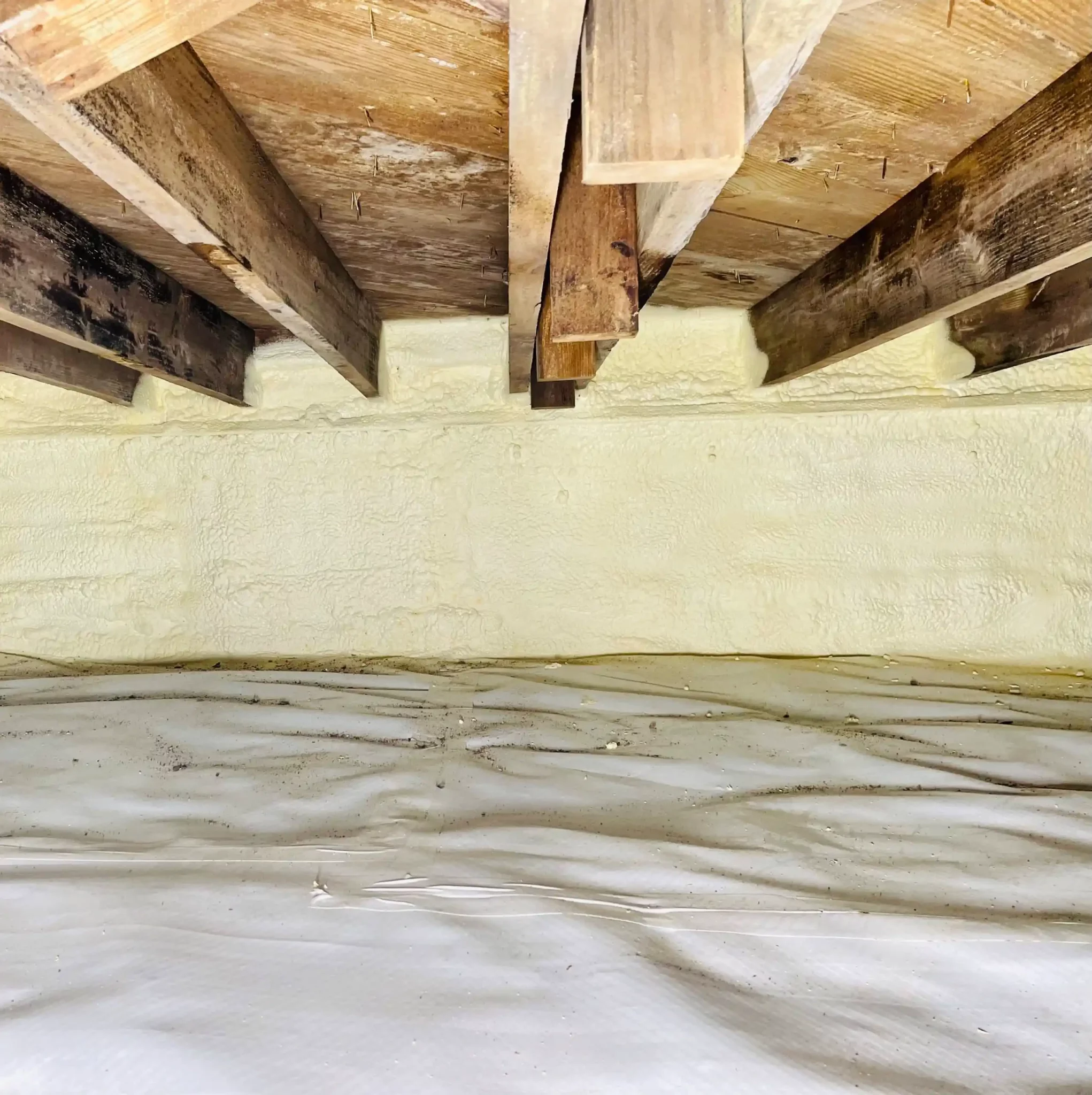 How to Identify and Fix a Wet Crawl Space After Insulation How to Identify and Fix a Wet Crawl Space After Insulation